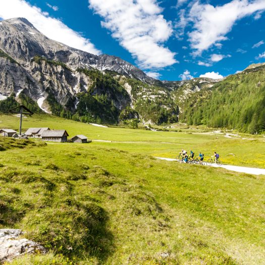 Ursprungalmhütte-copy-Mediadome33